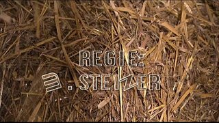 ���ੂੰ Senne Lutschi