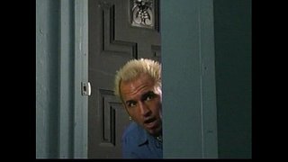 Стили Шайлы