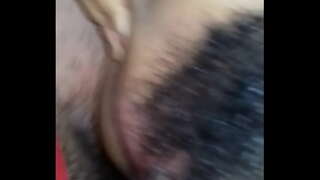 ���ម្រាប់ការលា aflor