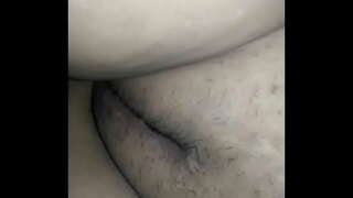 Тітка кицька